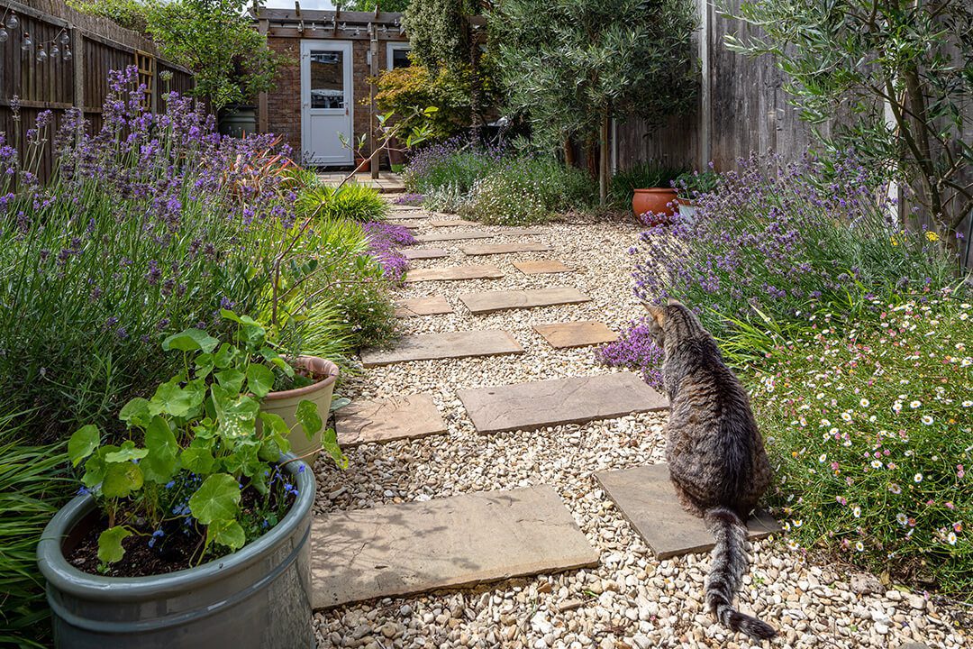 A cat sits in a mediterranean themed garden design on a natural stone and gravel pathway leading to a garden offifce