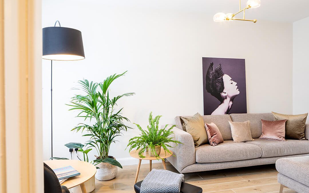Contemporary living room with a feature portrait. Image taken to market the property